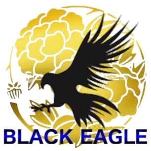 困ったときのBLACK EAGLE(ブラックイーグル) 何でも屋 便利屋|福井県 越前 鯖江 ハウスクリーニング エアコン取付 草刈り 伐採 蜂の巣駆除 車両脱着 雪かき トラブル 家具組み立て 外壁 塗装 引っ越し